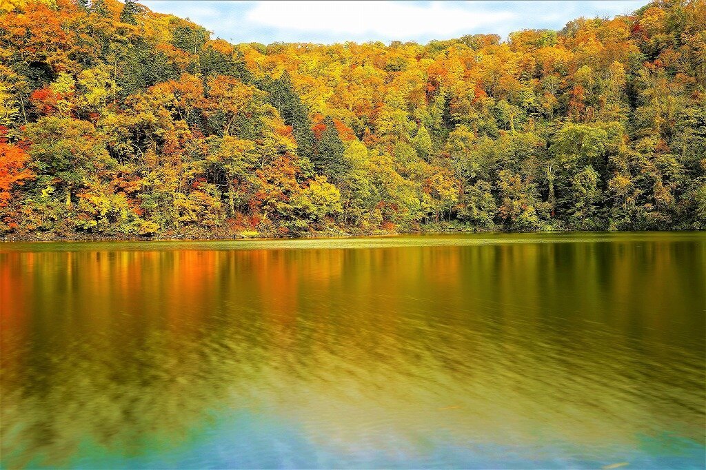 🏞️ 반월 호반 자연공원 (항게츠코한 시젠코엔) 이미지 1